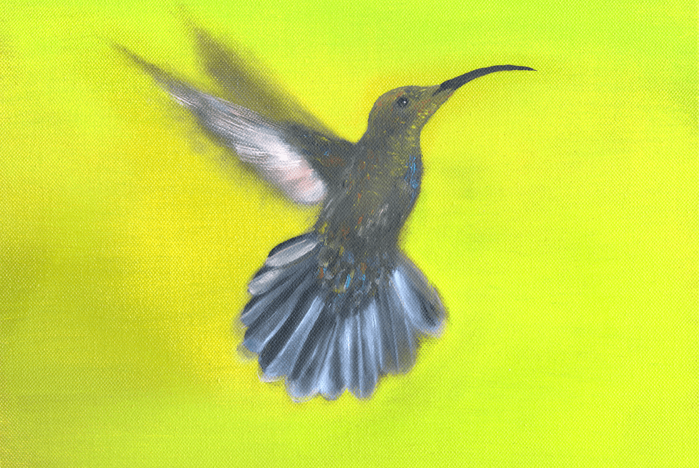 Black-Chinned Hummingbird Giclée (Stretched & Stapled)